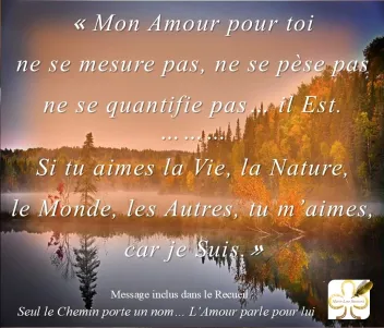 Mon Amour pour toi ...